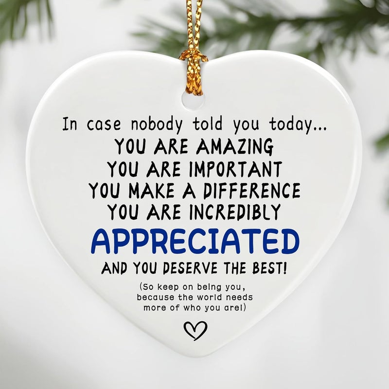 Jocidea in Case Nobody Told You Today: You are Amazing, Important & Make a Difference - Affirmations Sign | Office Gift, Appreciation Gifts, Thank You Gifts, Going Away, Retirement Gift | Christmas Ornament - Image 1